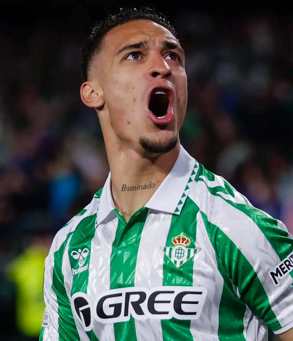 飒爽英姿五尺枪全部内容 飒爽英姿五尺枪全部内容