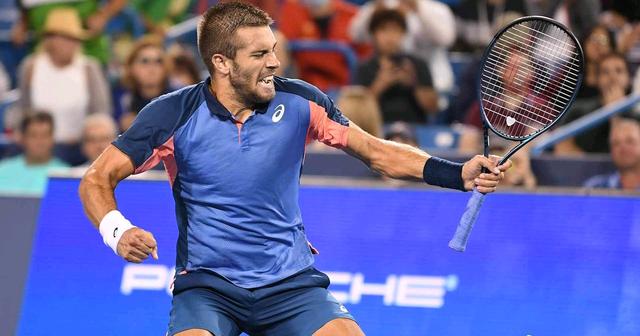 克罗地亚队气势如虹，匈牙利遭受屠杀般失利的简单介绍